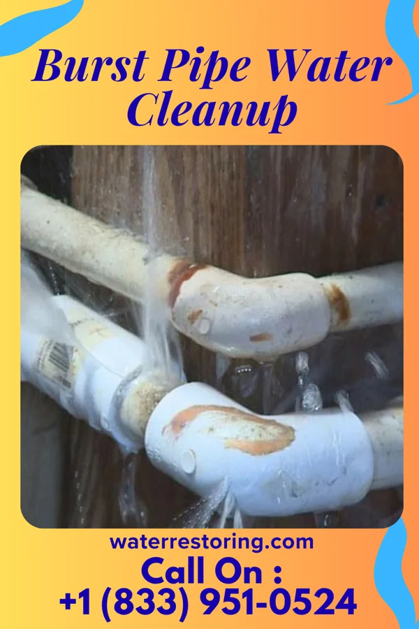Burst Pipe Water Cleanup in Bluewater Village, NM