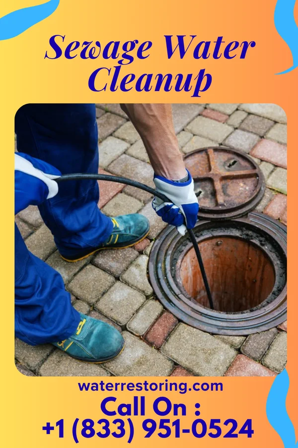 Sewage Water Cleanup in Bluewater Village, NM