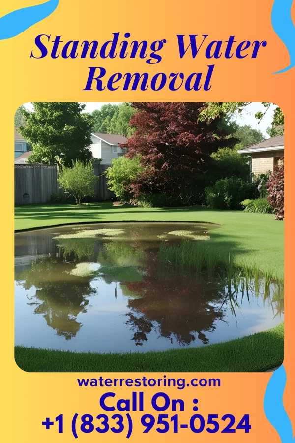 Standing Water Removal in Bluewater Village, NM